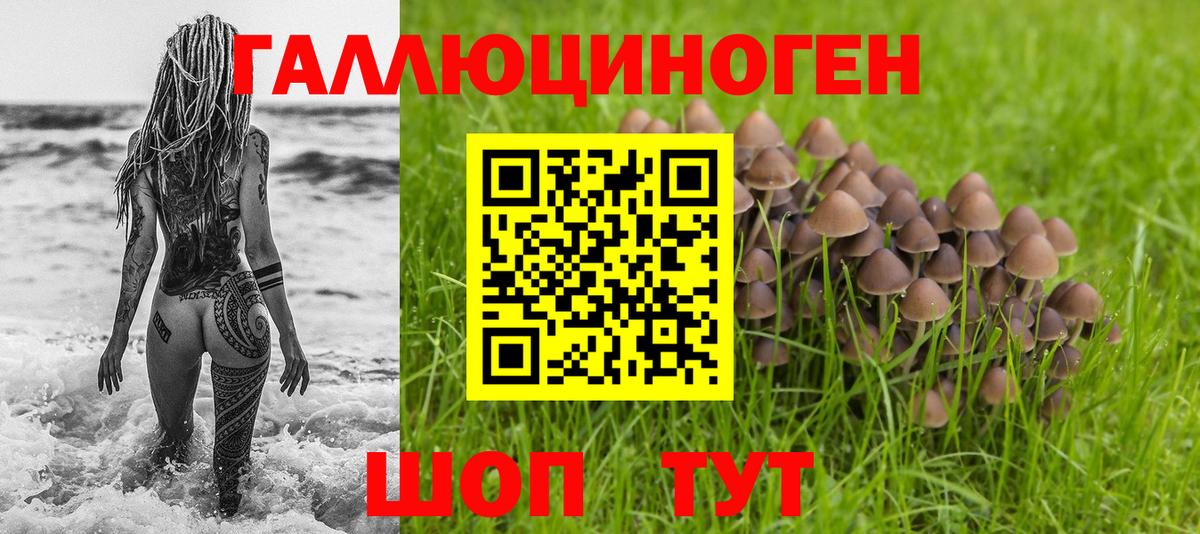 Псилоцибиновые грибы Psilocybe Уварово