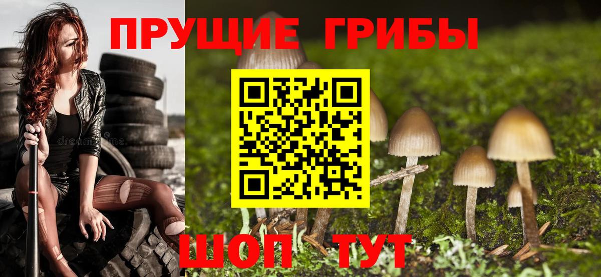 Галлюциногенные грибы MAGIC MUSHROOMS  Вход с VPN  Уварово  Псилоцибиновые грибы GOLDEN TEACHER 